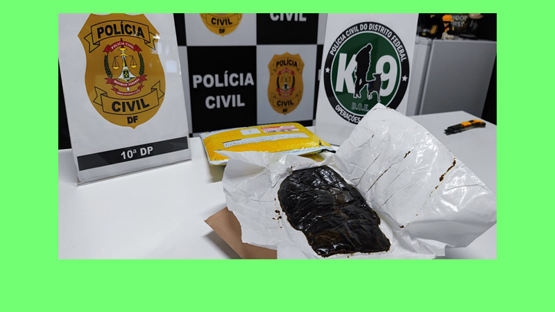 PCDF prende morador da Asa Norte com droga via encomenda postal avaliada em R$ 8 mi