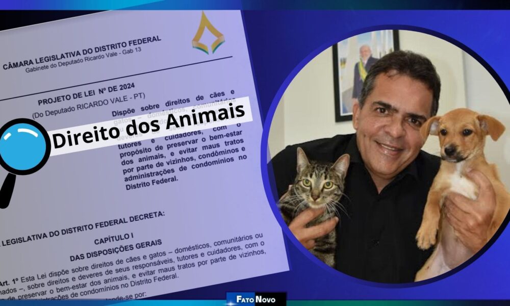 Projeto de Lei 24.665/24 de Ricardo Vale visa impedir maus-tratos aos animais de rua em condomínios
