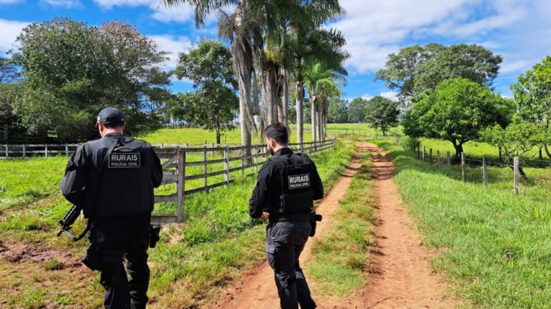 Polícia Civil faz operação na zona rural de Trindade e prende autor de furto de gado