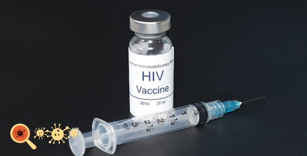 Vacina contra HIV produz anticorpos para reconhecer e neutralizar o vírus