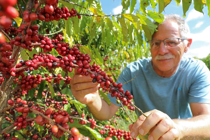 Café especial conquista espaço no mercado brasiliense e estimula novas produções rurais