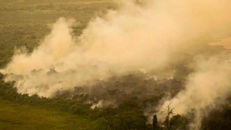 Pantanal e Cerrado batem recorde de focos de incêndio