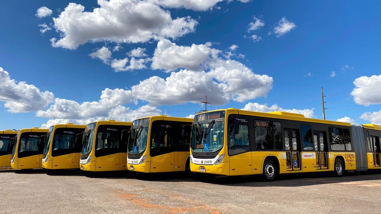 Frota do BRT Sul é renovada com dez novos ônibus articulados