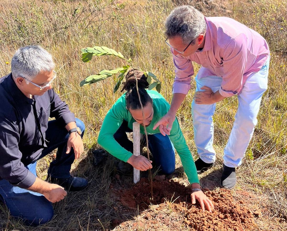 Equipe acompanha reflorestamento de área do Gama no Dia Mundial do Meio Ambiente