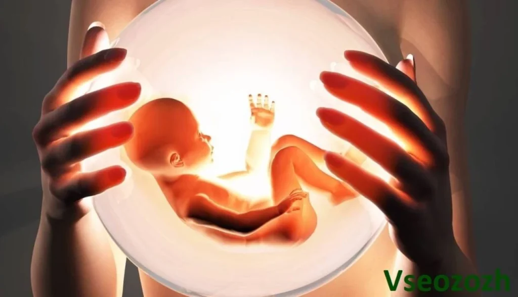 Qual é para cada religião o momento do início da vida — e como cada uma lida com aborto e contraceptivos