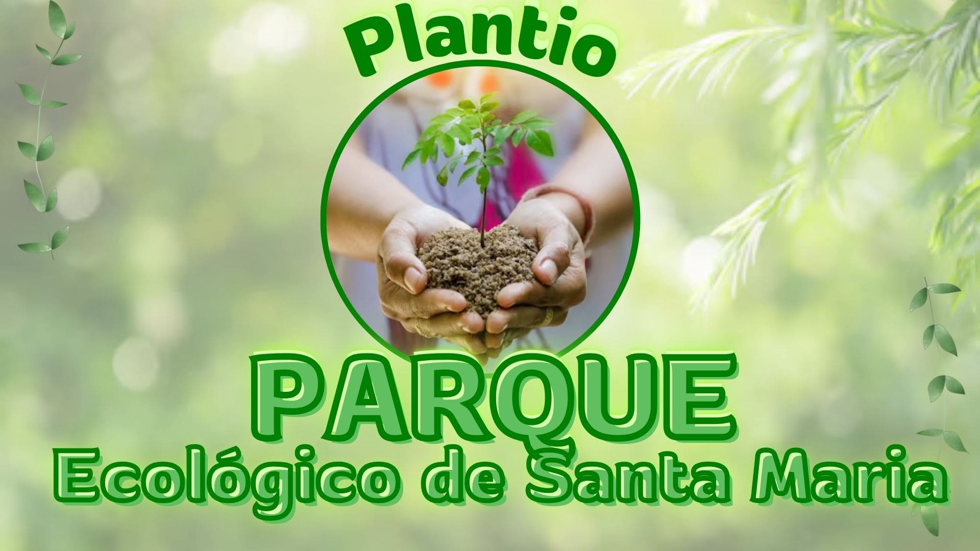 Comunidade de Santa Maria promove “Plantio de mudas no Parque”