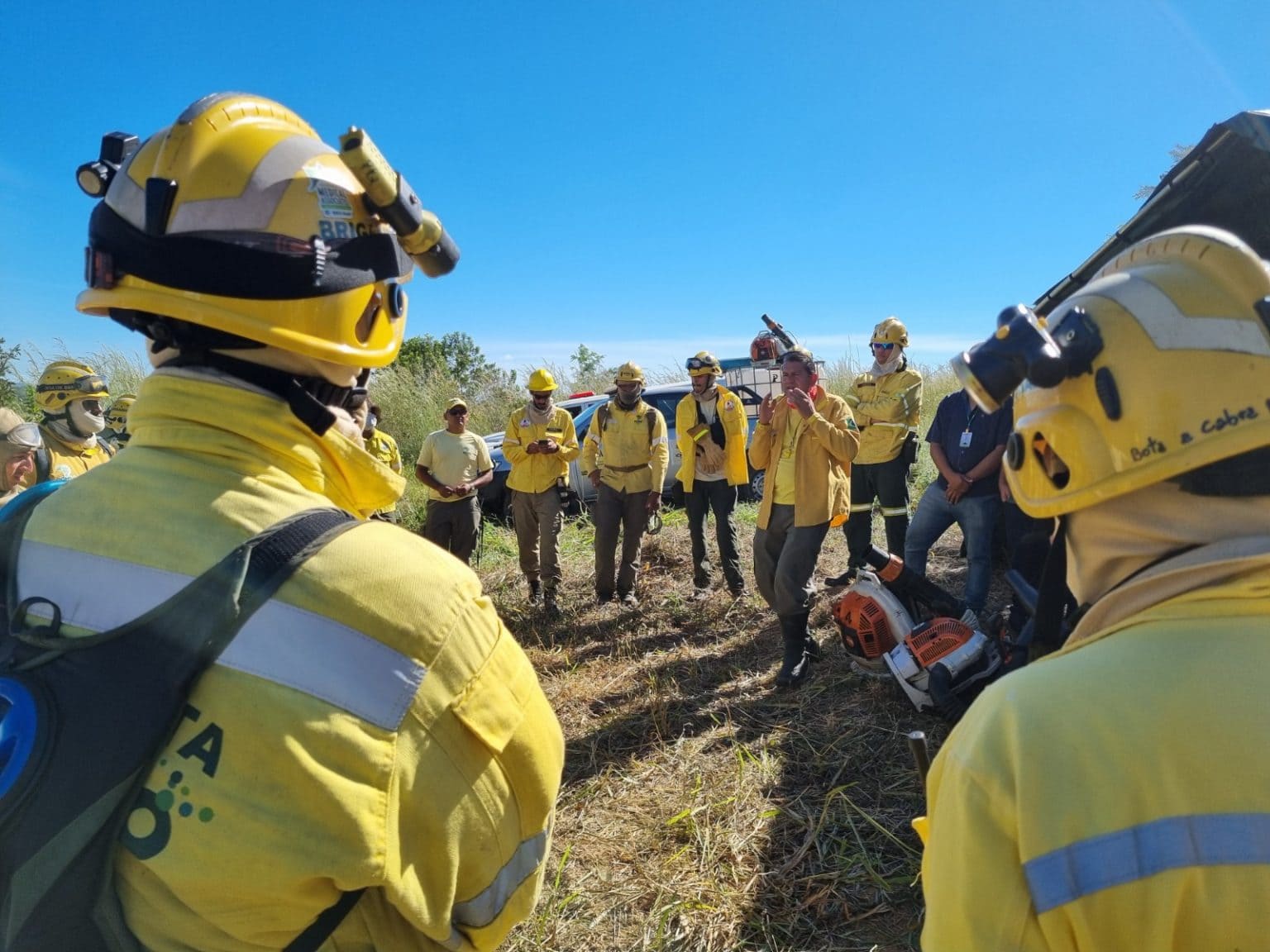 Central de Denúncias de Incêndios Florestais é criada