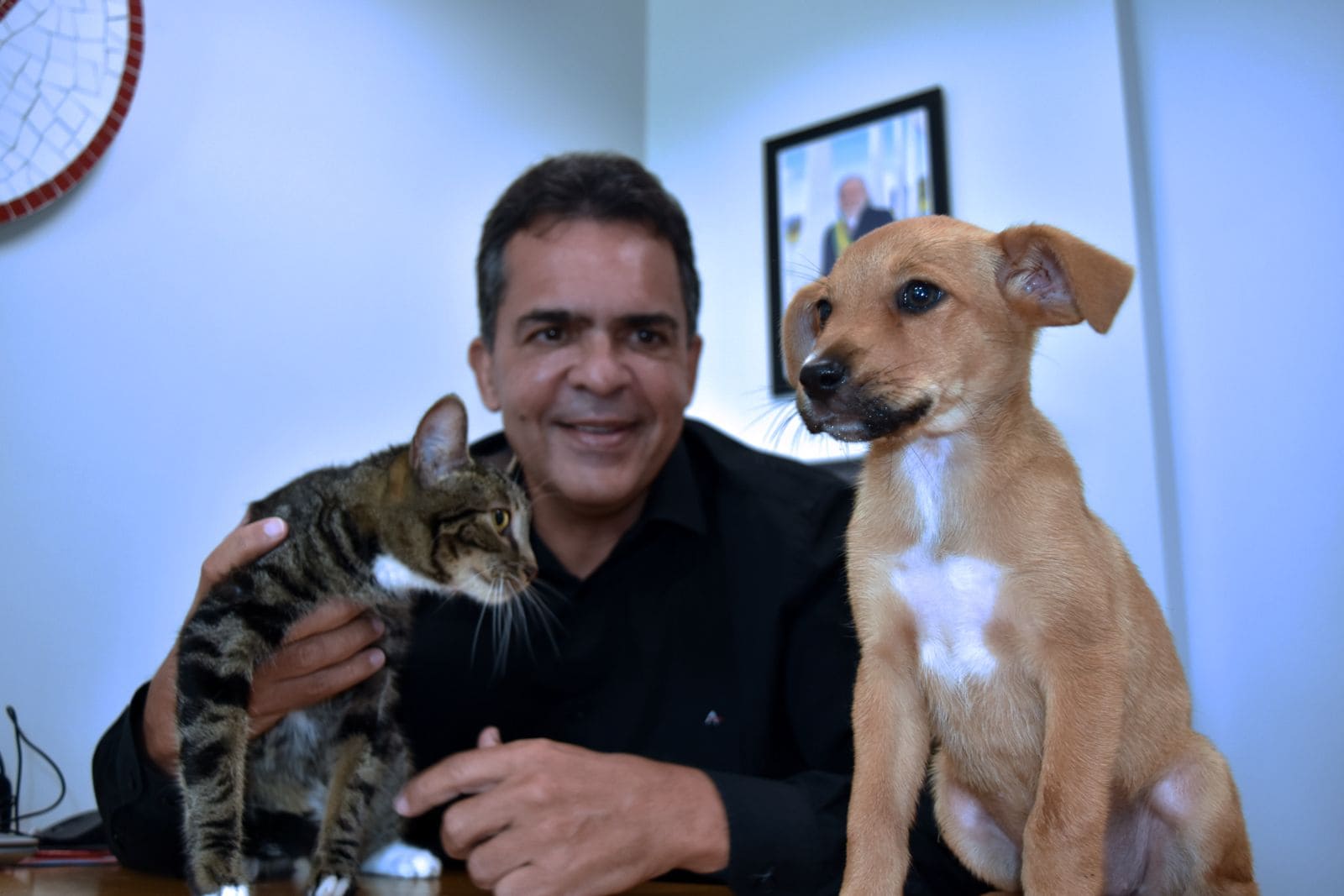 Entra em vigor o Programa Guardião Responsável, que visa proteger cães e gatos no DF