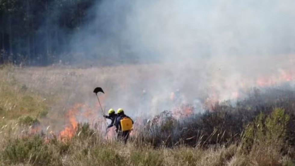 Terra indígena no Mato Grosso do Sul tem 60% do território consumido por fogo