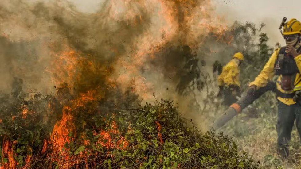 Brasil registrou 5.132 focos de incêndio em 24 horas