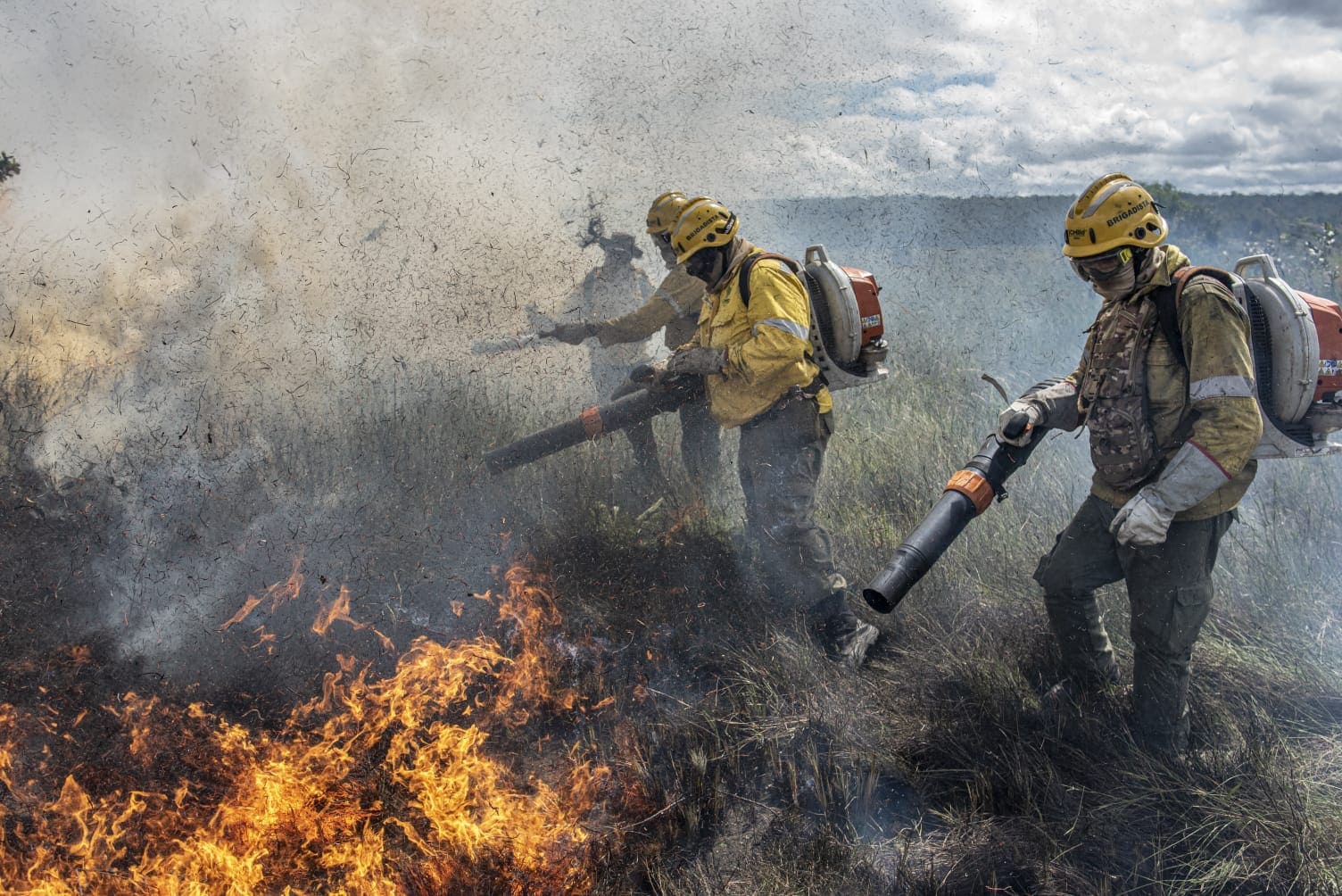 Governo adota procedimentos para Planos de Manejo Integrado do Fogo