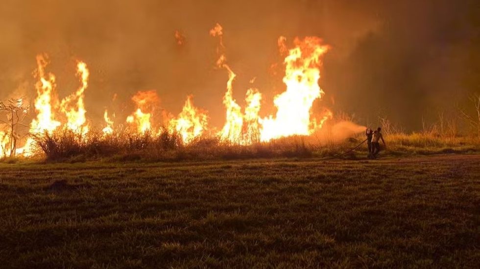 Estado de SP registra 16 focos ativos de incêndio neste sábado (14)