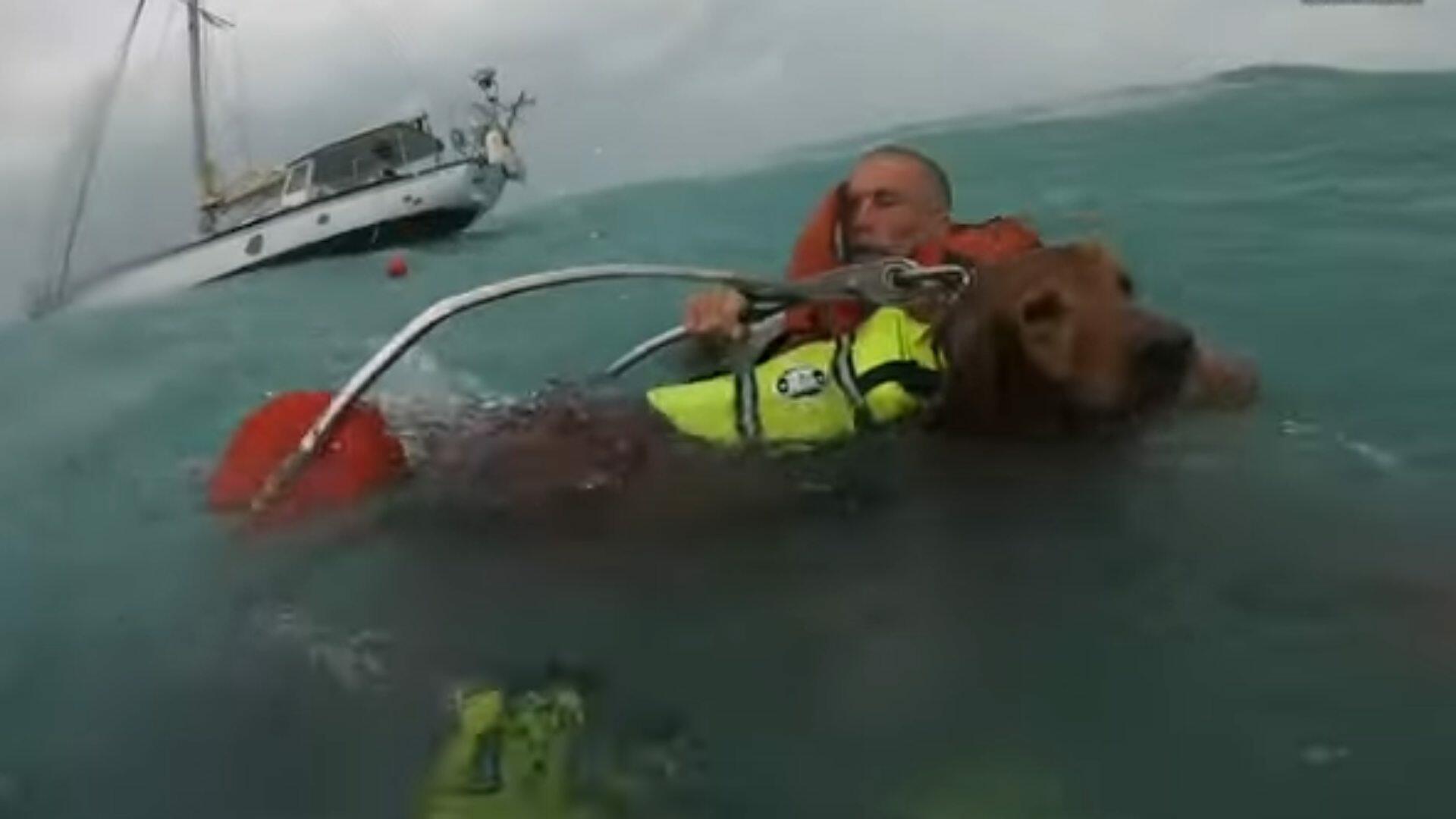 Homem e cachorro ficam presos no mar próximo a Furacão Helene nos EUA