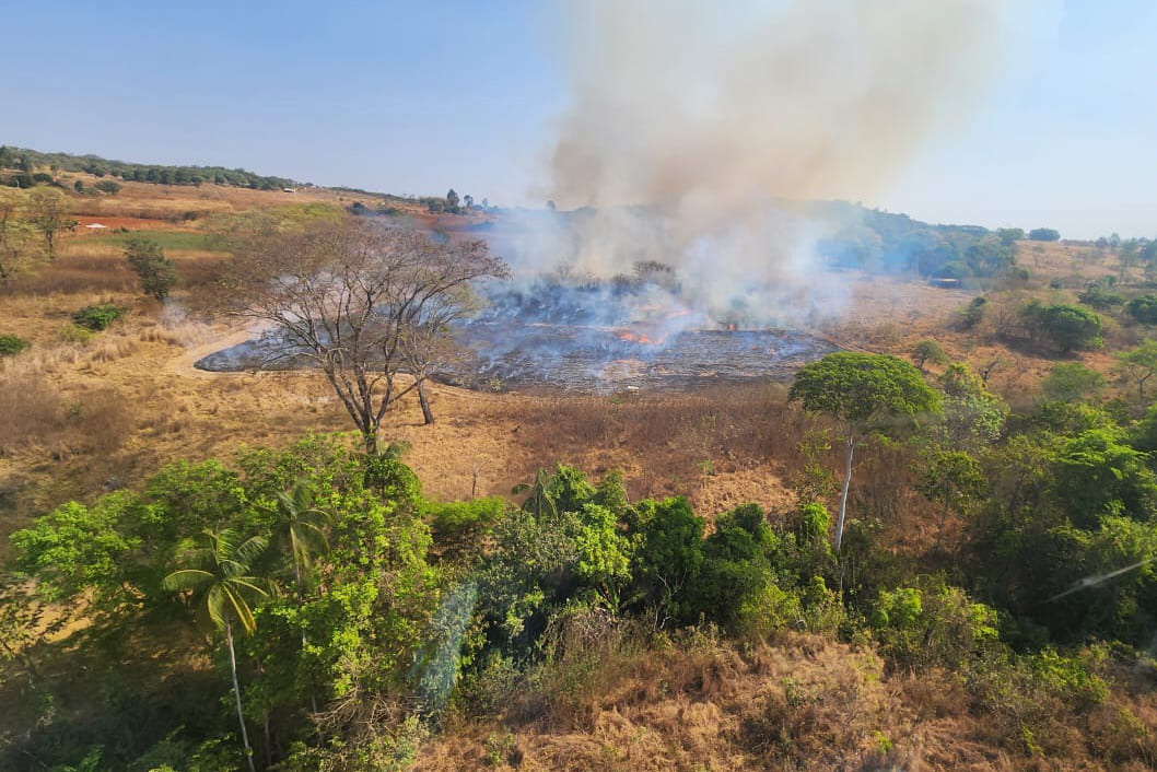 Operação Curupira, da PCDF, prende mais dois suspeitos de causar incêndios florestais