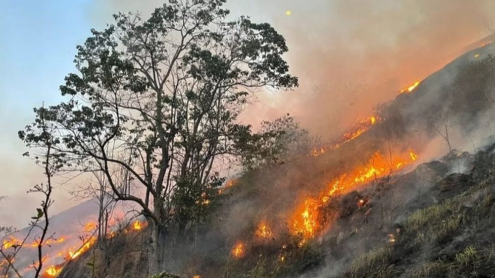 Queimadas persistem em municípios do interior de SP