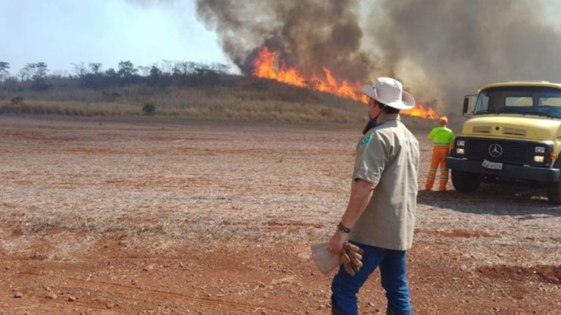 Risco de incêndios em SP dispara com previsão de calor de 40°C