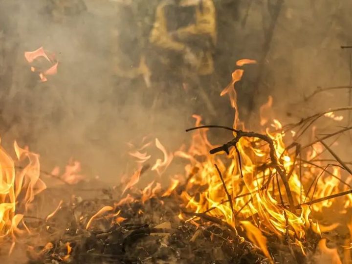 Brasil enfrenta aumento alarmante de 76% nos focos de incêndio em 2024