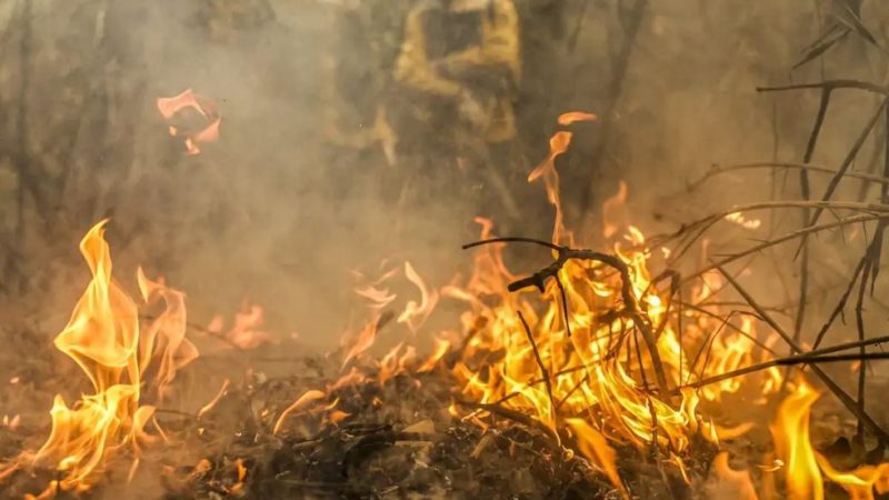 Brasil enfrenta aumento alarmante de 76% nos focos de incêndio em 2024