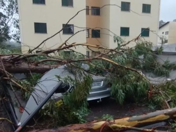 Defesa Civil alerta empresas de energia para novo temporal em São Paulo