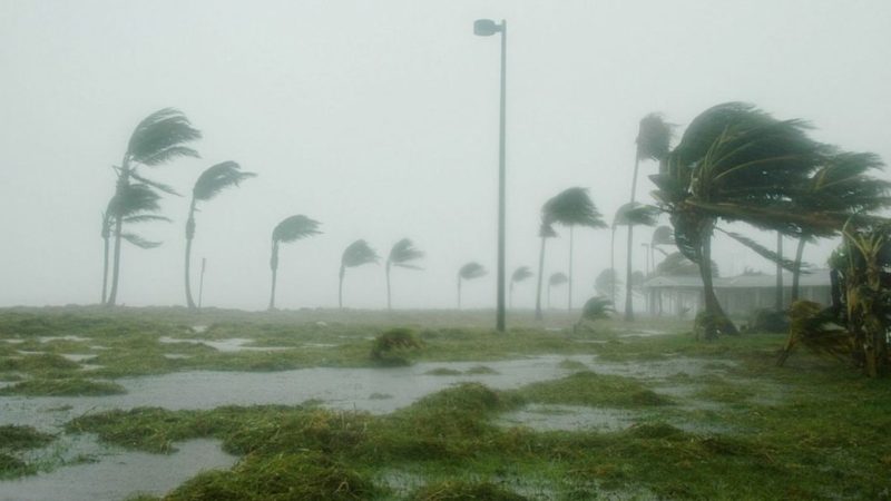 Estado de emergência decretado por furacão com ventos de 193 km/h