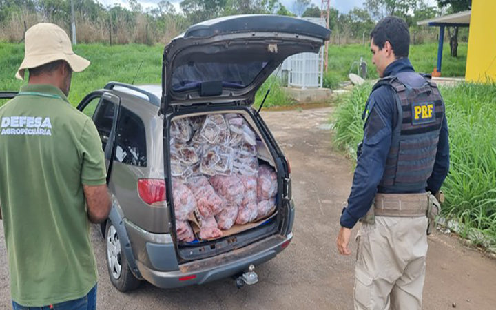 PRF apreende meia tonelada de carne imprópria para o consumo na BR-020