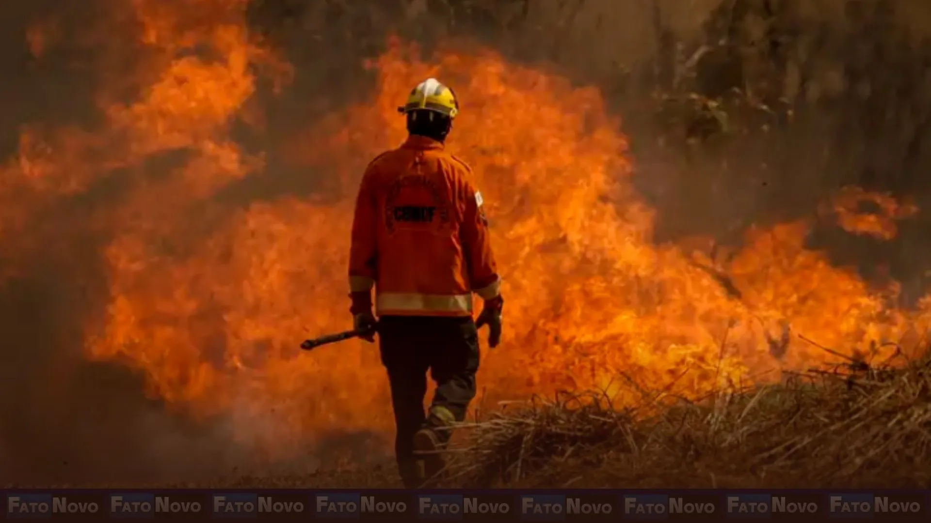 Brigadistas voluntários de incêndios são homenageados em sessão solene nesta segunda (21)