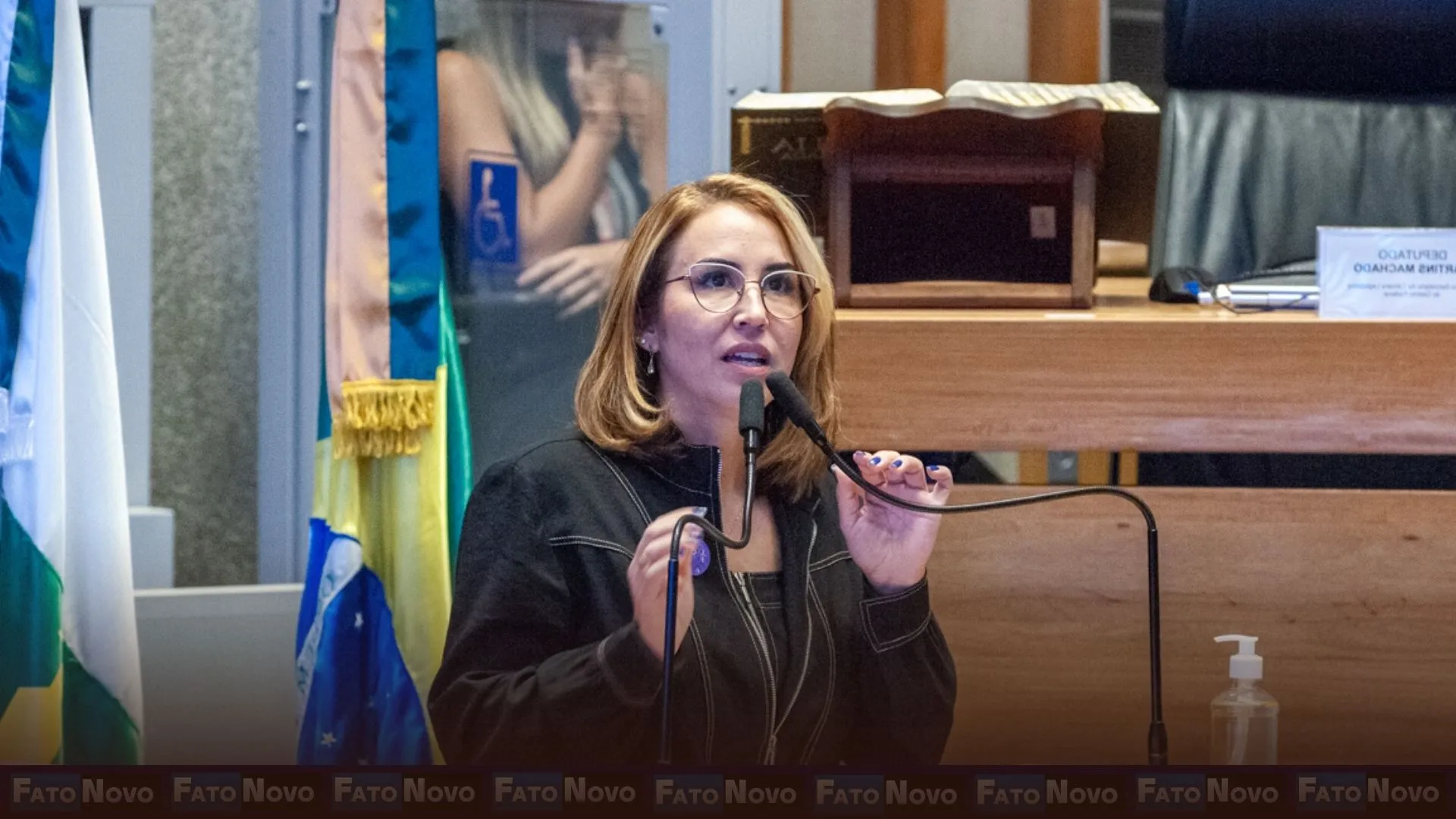 CLDF vai criar Observatório da Mulher