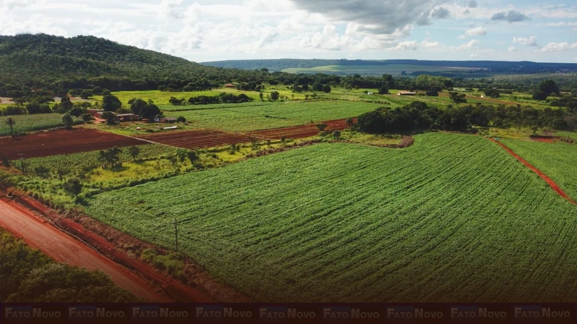 Projetos no Descoberto e no Pipiripau incentivam educação ambiental com plantio de mudas do Cerrado