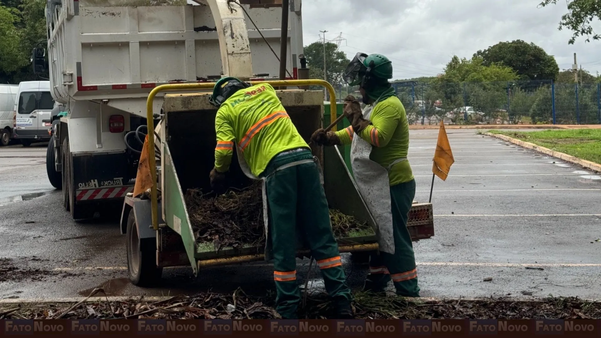 Operação dá destinação correta a resíduos verdes no DF; saiba como funciona