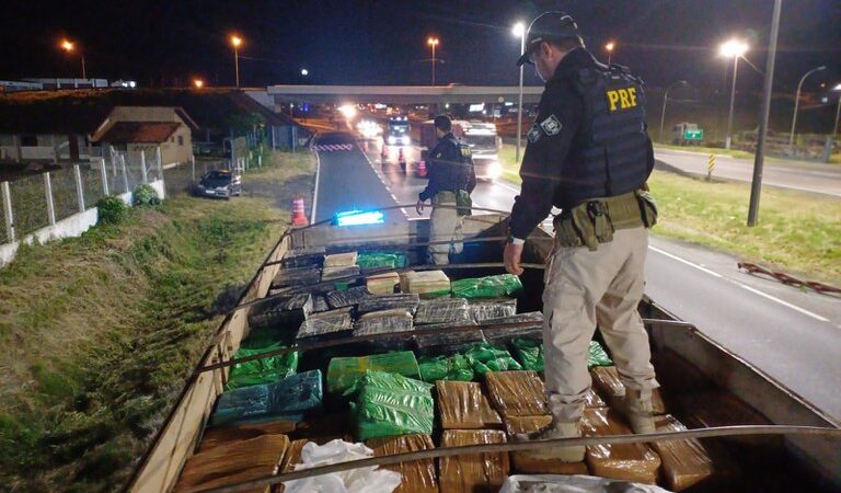 PRF apreende 11 toneladas de maconha na rodovia Régis Bittencourt