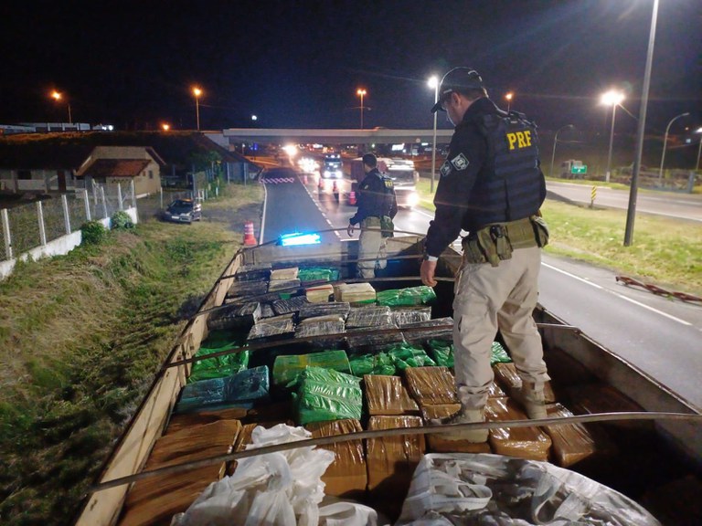 PRF apreende 11 toneladas de maconha na rodovia Régis Bittencourt